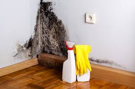 Trusted Crofton, MD Mold Removal & Remediation Experts